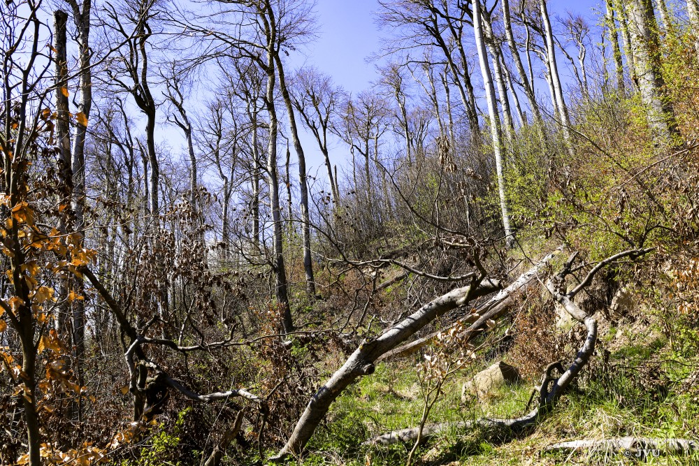 $lastEvent["LastEvent"]["name"]