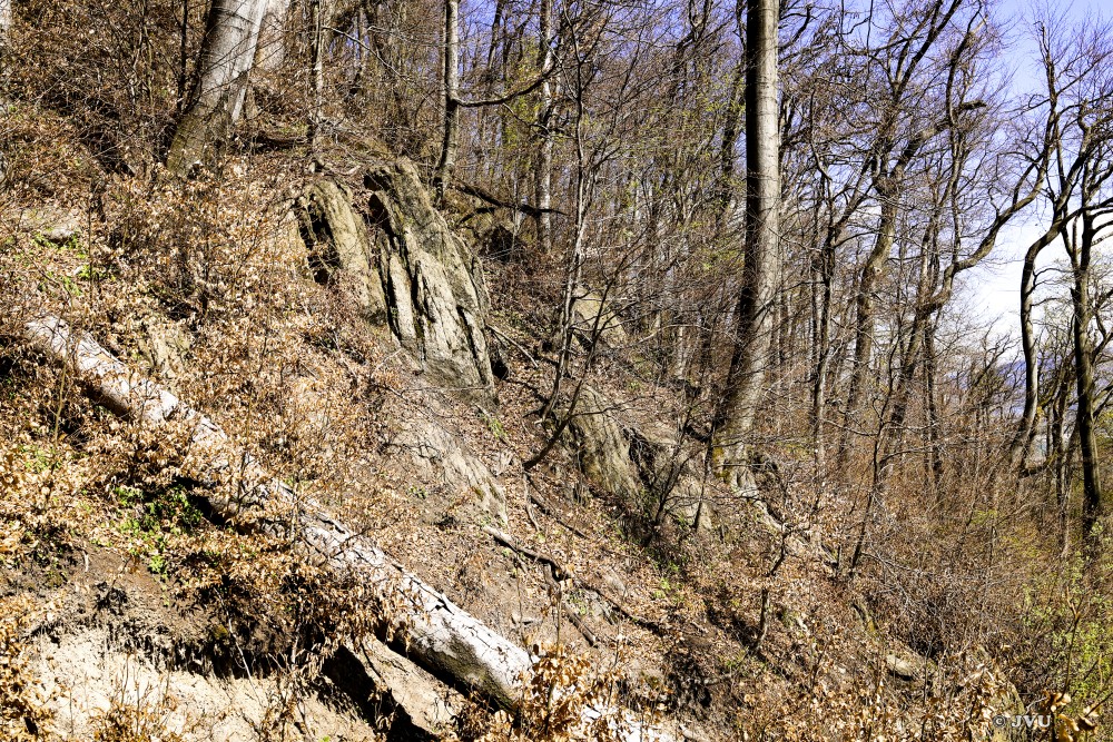 $lastEvent["LastEvent"]["name"]