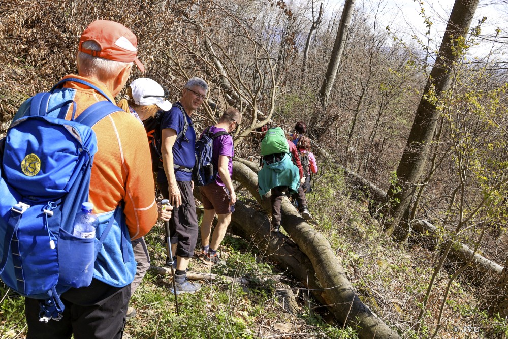 $lastEvent["LastEvent"]["name"]