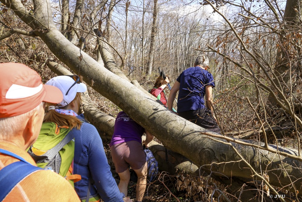 $lastEvent["LastEvent"]["name"]