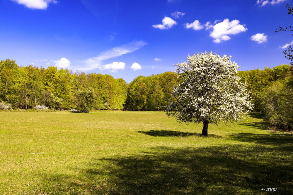 $lastEvent["LastEvent"]["name"]