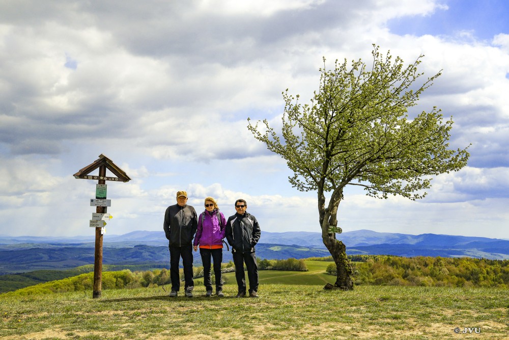 $lastEvent["LastEvent"]["name"]